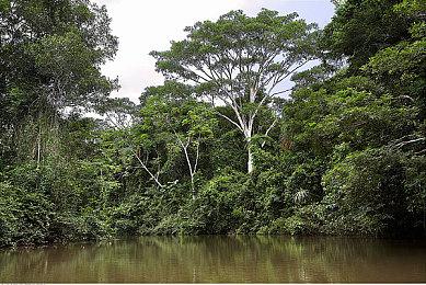 《莱莎的炼金工房3》新中文游戏截图 存档联动特典公布